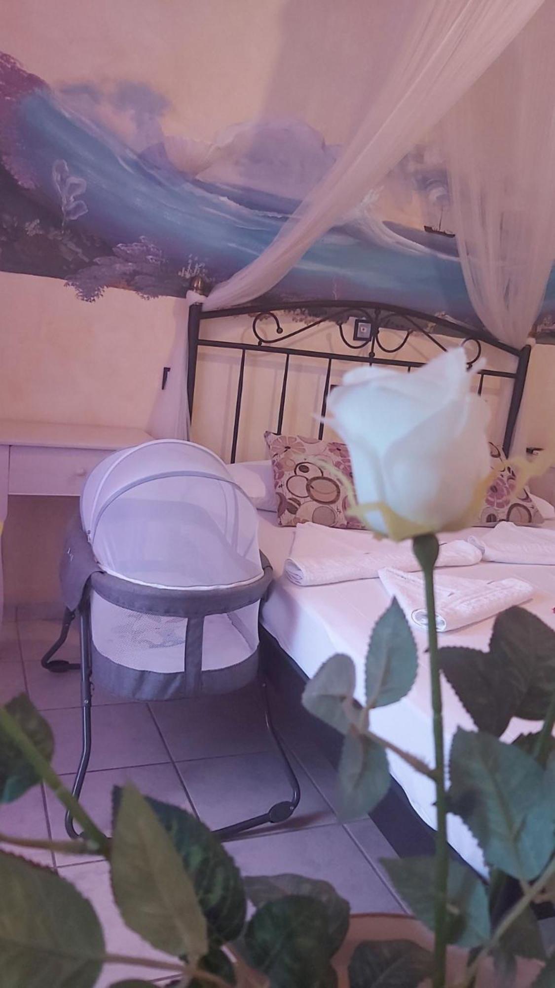 Aphrodite Boutique Hotel Alikí Buitenkant foto