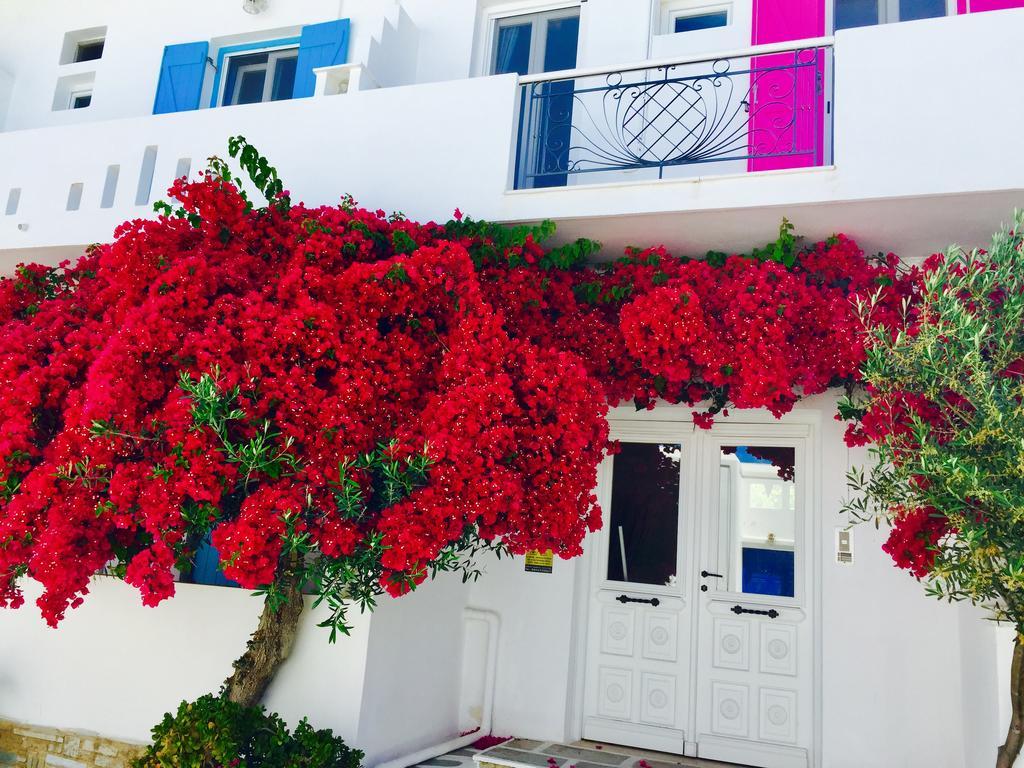 Aphrodite Boutique Hotel Alikí Buitenkant foto